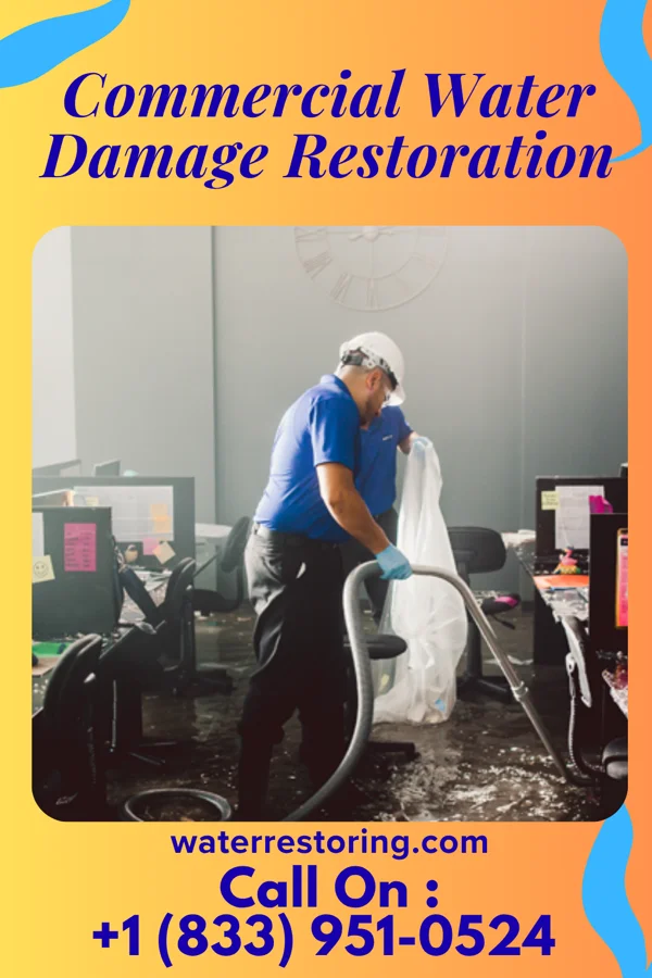 Commercial Water Damage Restoration in Oljato-Monument Valley, UT