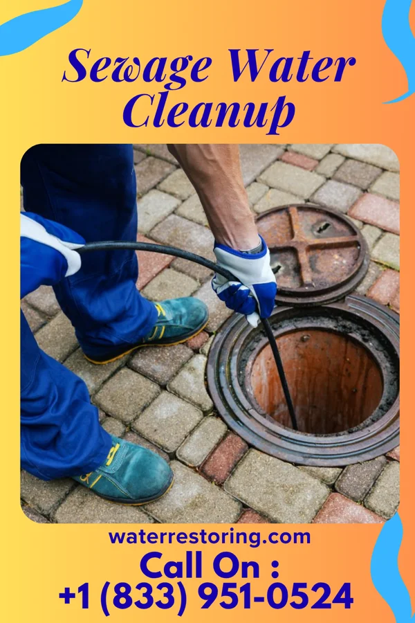 Sewage Water Cleanup in Oljato-Monument Valley, UT